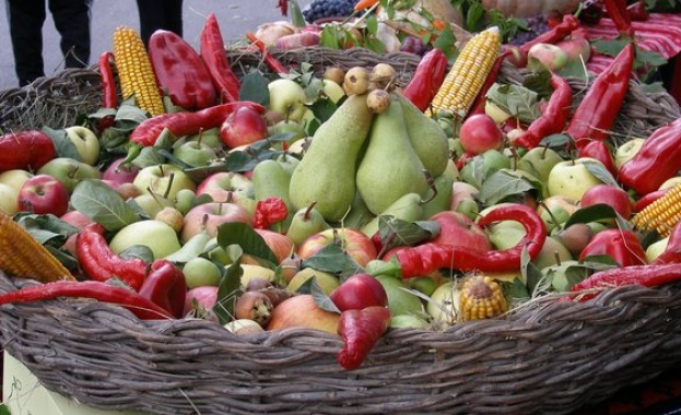 Редица браншови организации от сектор „Плодове и зеленчуци“ подкрепят министър Иванов