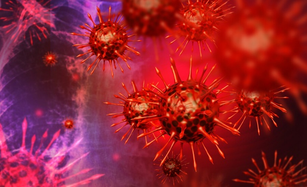 3 233 са новите случаи на коронавирус в страната Те