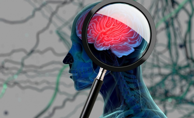 Френски неврофизиолози са установили че продължителната умствена дейност води до