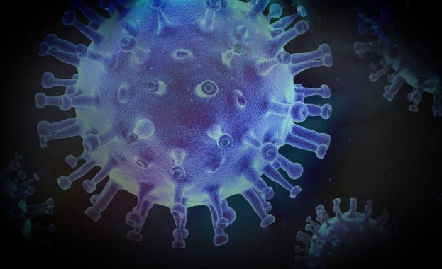 895 са новите случаи на коронавирус за изминалото денонощие.
Това са