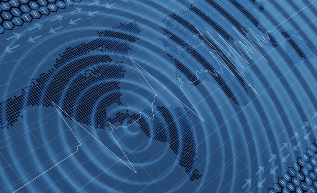 Земетресение с магнитуд 5 по Рихтер е регистрирано в индонезийската