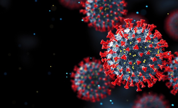 724 са новите случаи на коронавирус у нас за последните