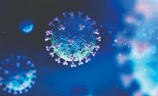 Броят на новите случаи на коронавирус остана без промяна като