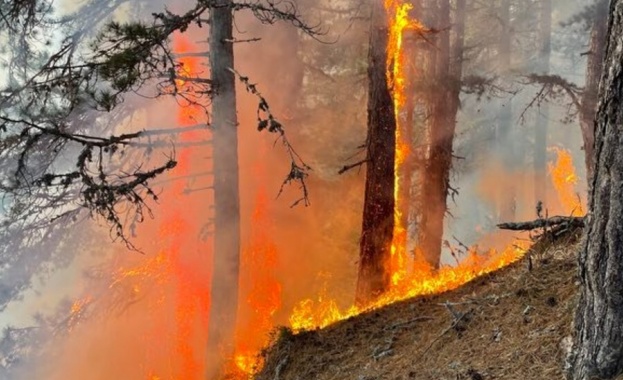 Турция се бори с мащабни горски пожари в югозападната част
