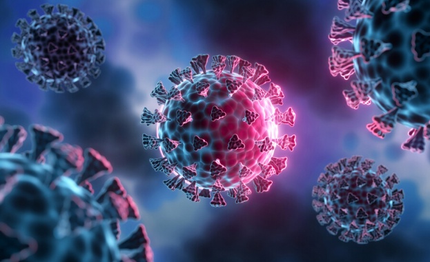 Новите случаи на коронавирус в България за 24 часов период са