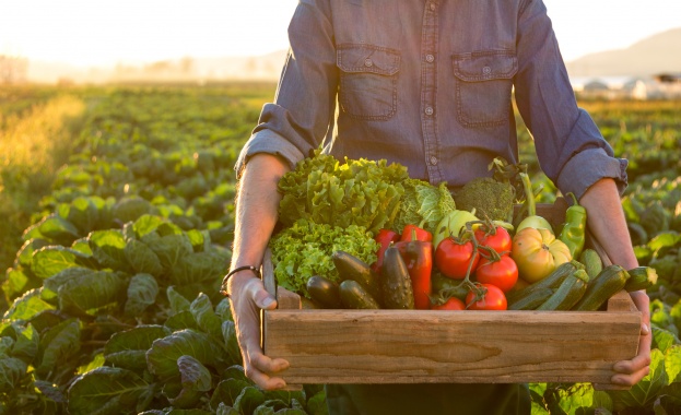 Зеленчукопроизводителите се опасяват, че промяната ще ги отвее