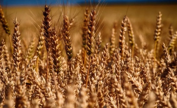 Повишението на котировките на основните зърнени стоки на световните зърнени