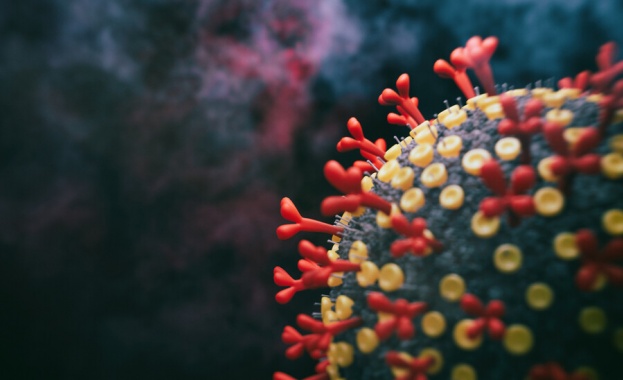 722 са новите случаи на коронавирус