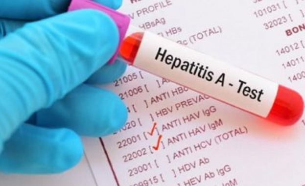 Тревога в Испания заради ягоди с хепатит А, внесени от