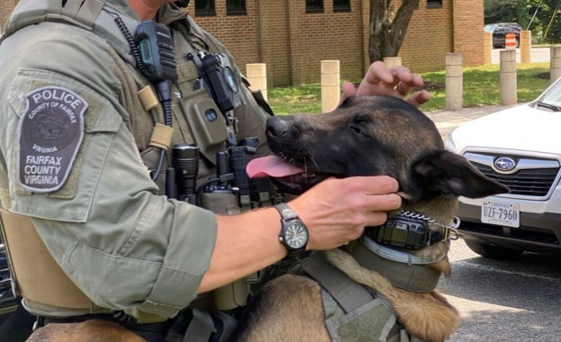 Американец ухапа полицейско куче