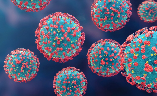 226 са новите случаи на коронавирус у нас за последните