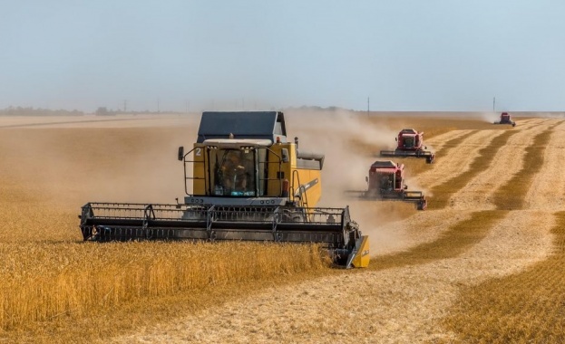 Зърнопроизводителите са в стачна готовност искат спешни мерки за подпомагане