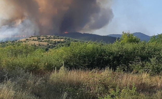 Пожарът, който възникна между селата Калугерово и Лесичово край Пазарджик,