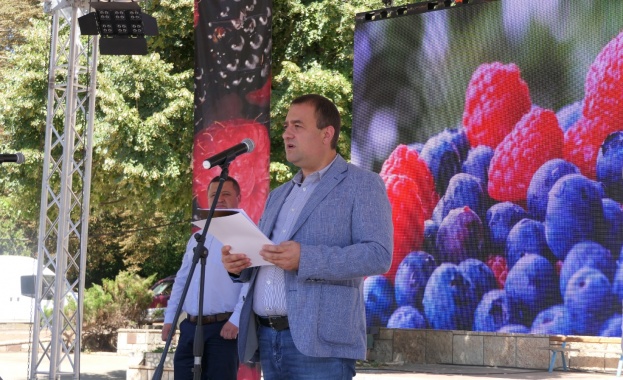 Иванов в област Разград: В последните години в България при малините се наблюдава устойчивост на плододаващите площи 