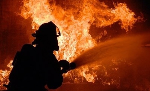 Пожар гори в необитаема жилищна сграда в София.
Пламъците са избухнали