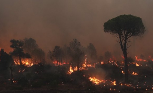 Частично бедствено положение в Община Раднево заради пожара в Сакар планина