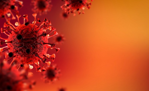 Новите случаи на коронавирус у нас са четири през последното