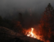 Огнена обсада в Калифорния, заплашва хиляди домове