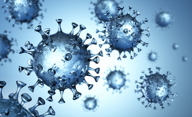 Новите потвърдени случаи на коронавирус у нас за последното денонощие са 25