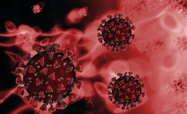 299 са новите случаи на коронавирус у нас. Направени са