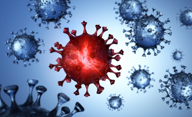 104 са новите случаи на коронавирус