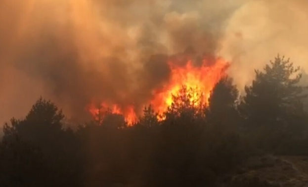 Горски пожар бушува в района на град Бергама в турския