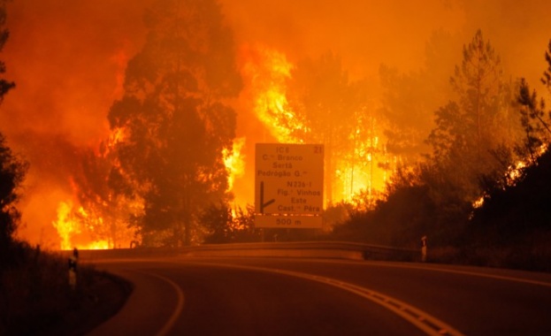 Над 600 пожарникари гасят огромен пожар в Португалия
