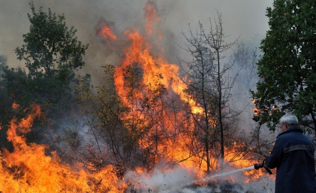 Бедственото положение в района на Ивайловград, обявено заради големия горски