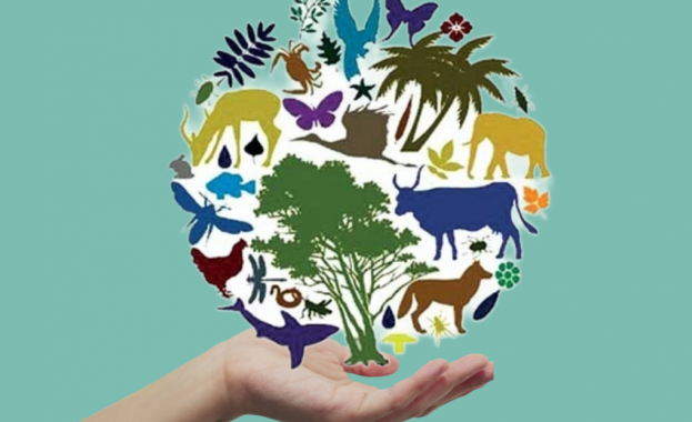 22 май - Международен ден на биоразнообразието
