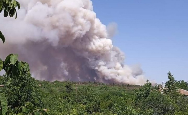 Голям пожар гори между плевенските села Бръшляница Коиловци и Мечка