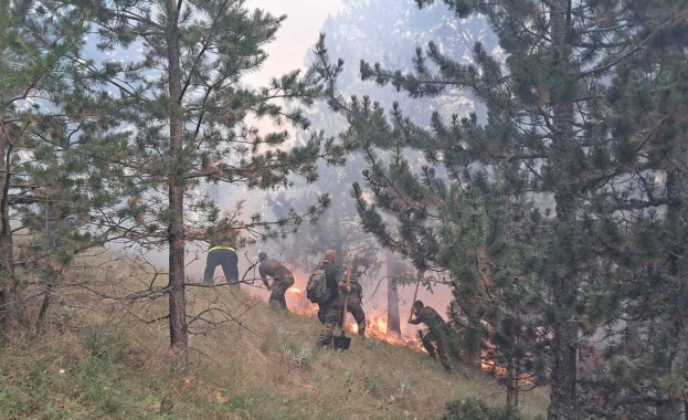 Военнослужещи от Сухопътните войски окозват помощ за потушаването на големия горски пожар в Рила