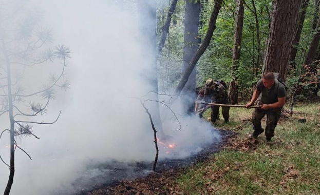 Продължава участието на СВ и ВС в гасенето на големия горски пожар в планината Славянка