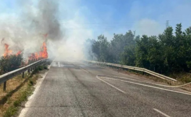 Пожар затвори пътя между пазарджишките села Звъничево и Лозен